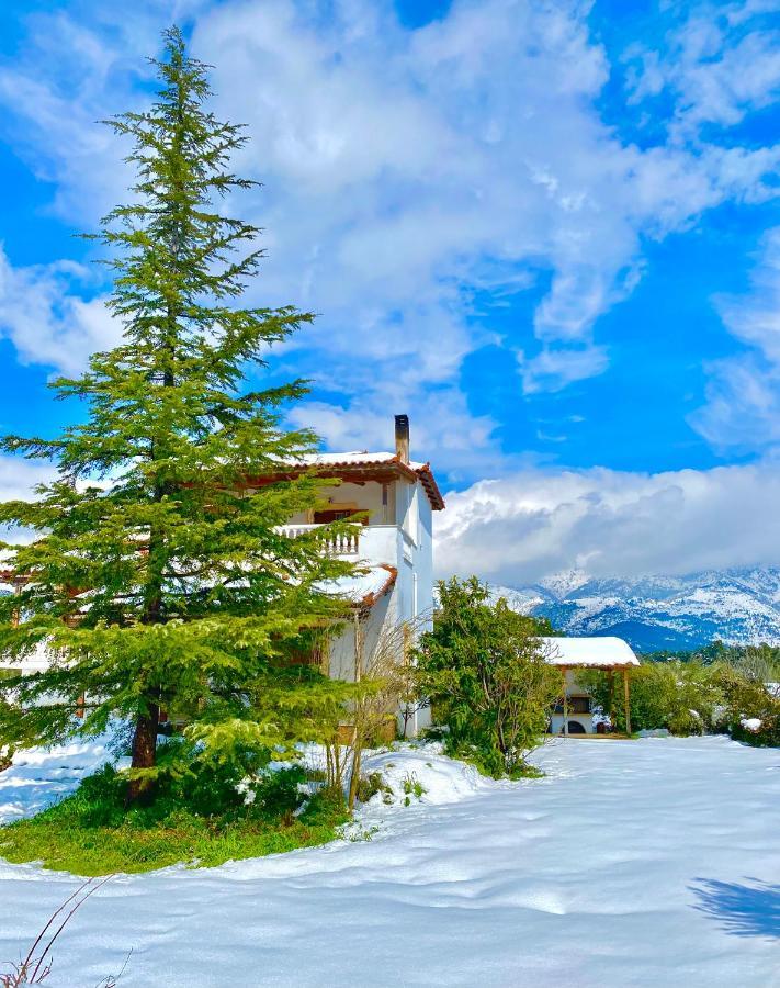 Villa Vasiliki Paliouras Exterior photo