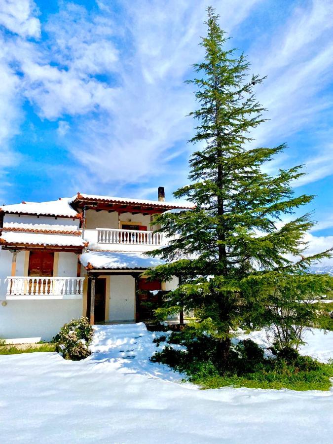 Villa Vasiliki Paliouras Exterior photo