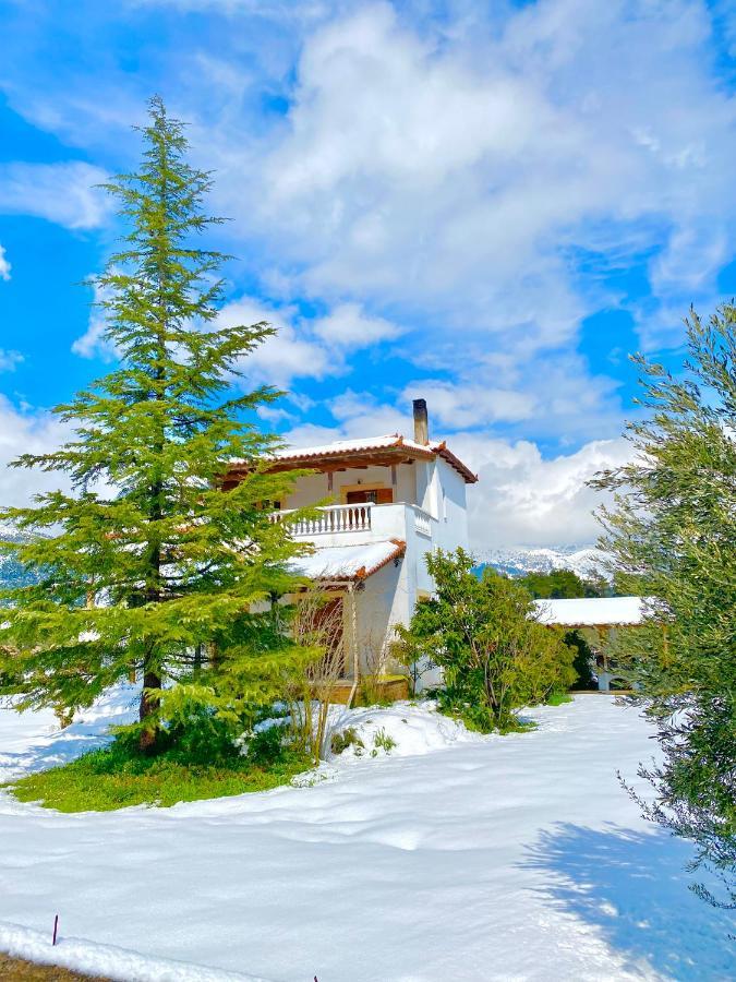 Villa Vasiliki Paliouras Exterior photo