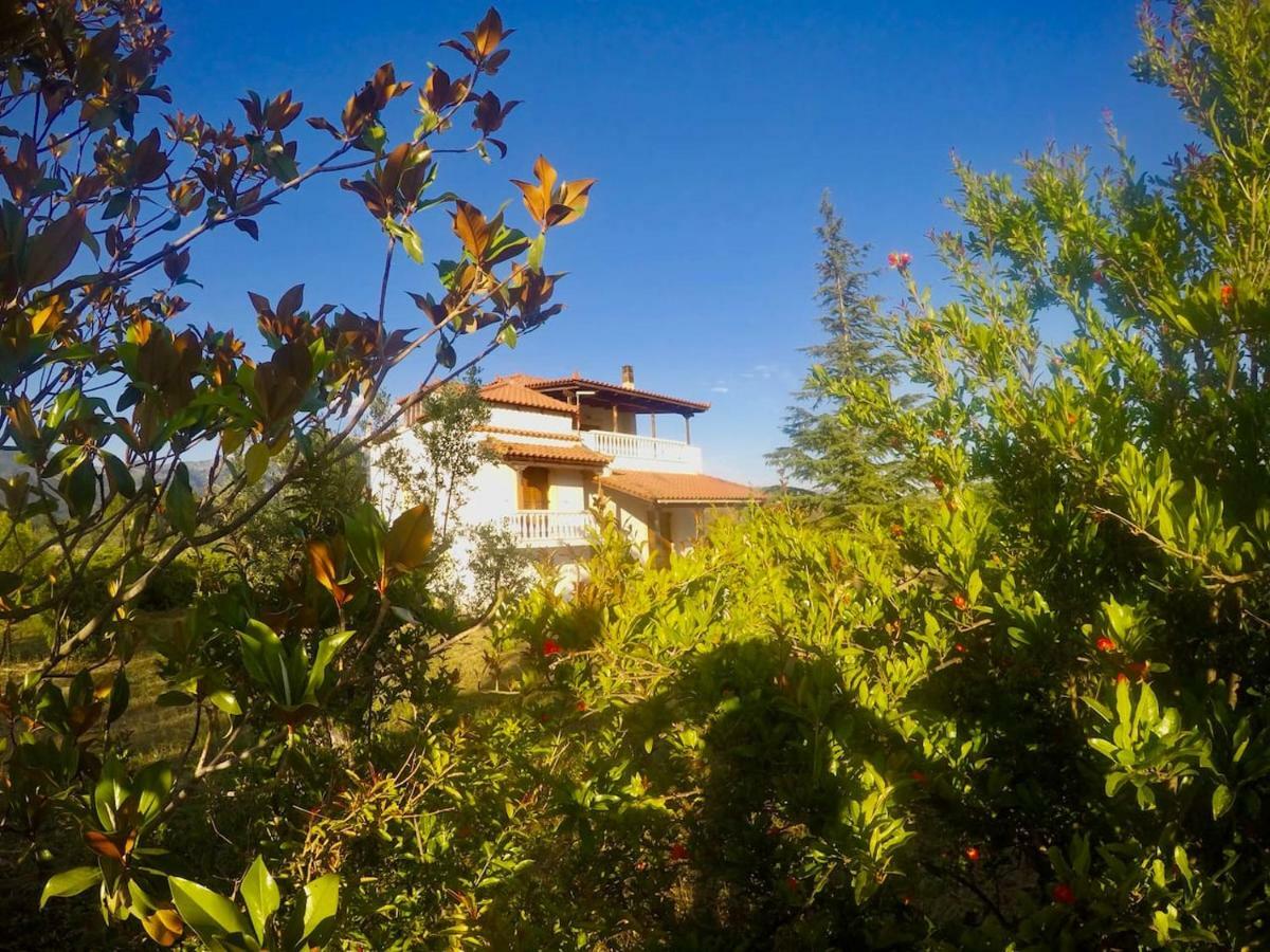 Villa Vasiliki Paliouras Exterior photo